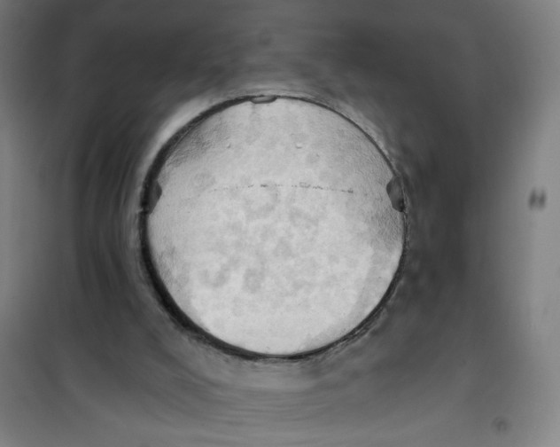 X0000101210008200807251059