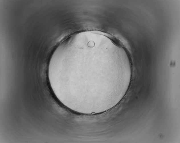 X0000101210009200807251059