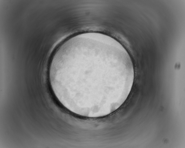 X0000101210012200807251059