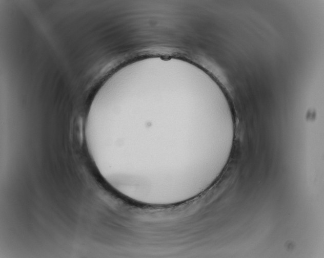 X0000101210013200807251059