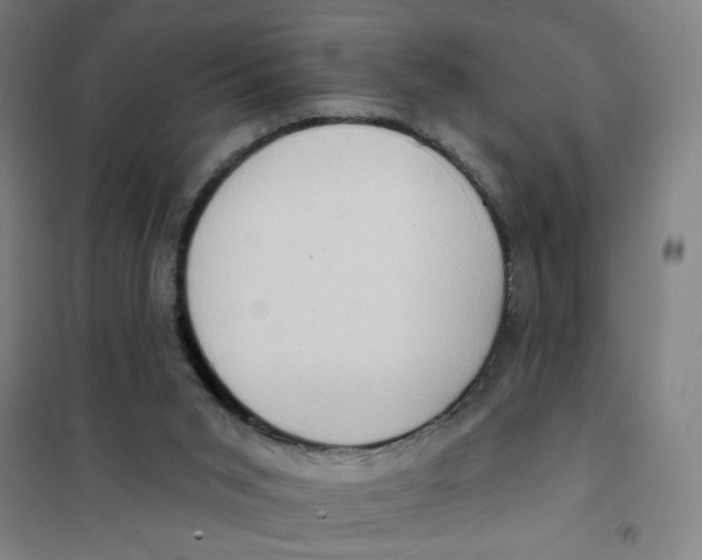 X0000101210015200807251059