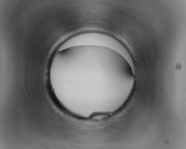 X0000101210016200807251059