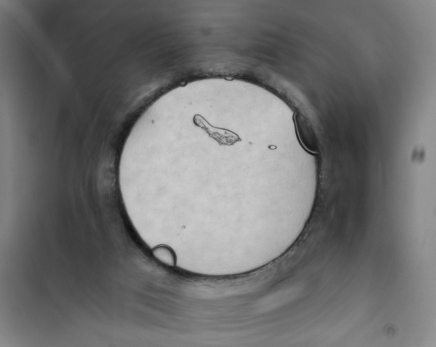 X0000101210017200807251059