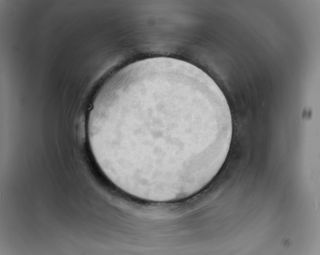 X0000101210020200807251059