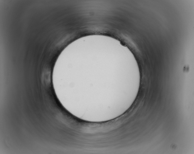 X0000101210021200807251059