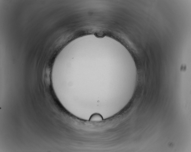 X0000101210022200807251059