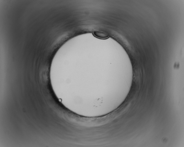 X0000101210023200807251059