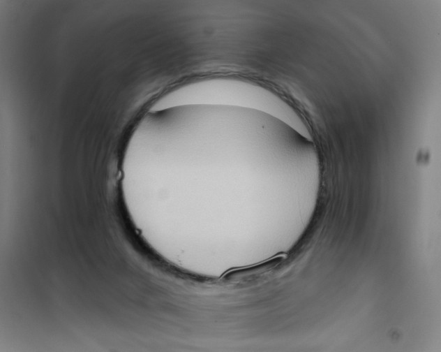 X0000101210024200807251059