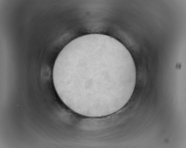 X0000101210025200807251059