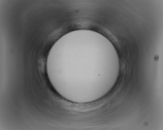 X0000101210026200807251059