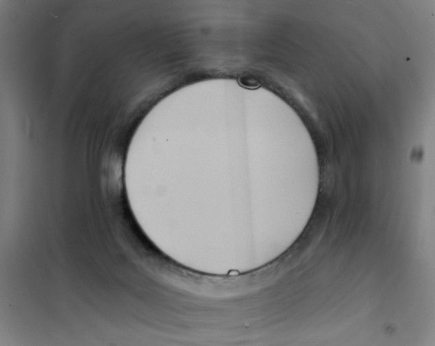 X0000101210027200807251059