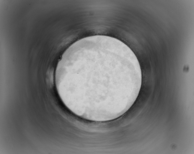 X0000101210028200807251059