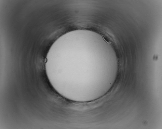 X0000101210029200807251059