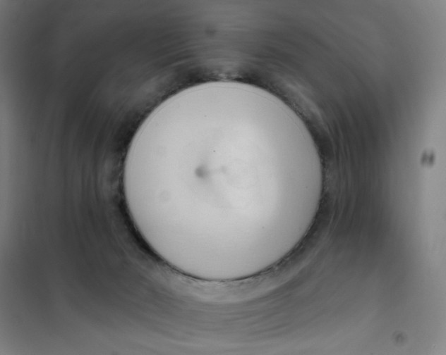 X0000101210030200807251059