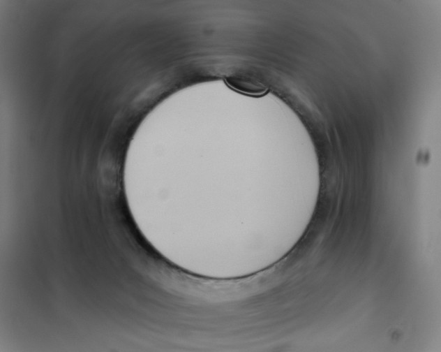 X0000101210031200807251059