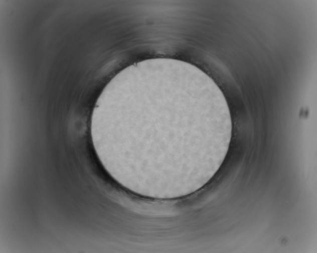 X0000101210032200807251059