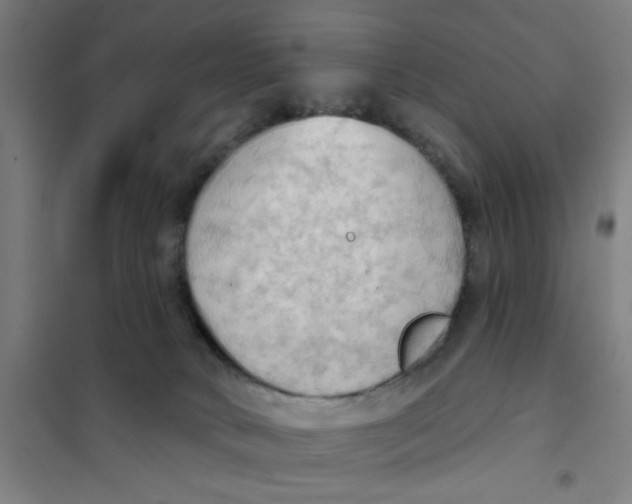 X0000101210034200807251059