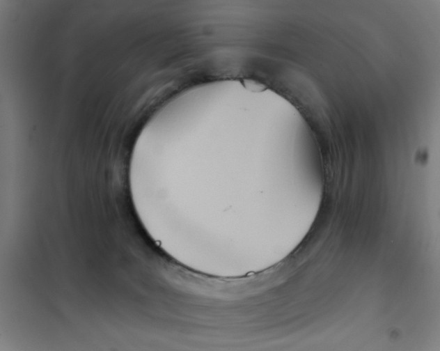 X0000101210035200807251059