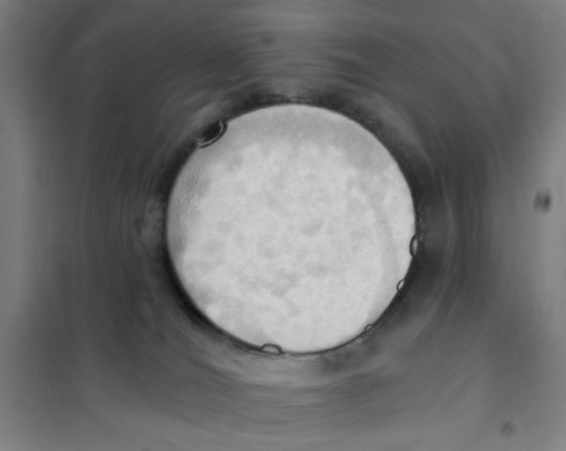 X0000101210036200807251059