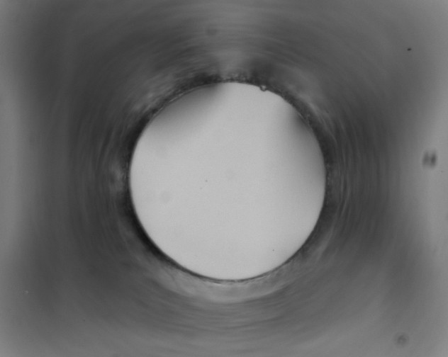 X0000101210039200807251059