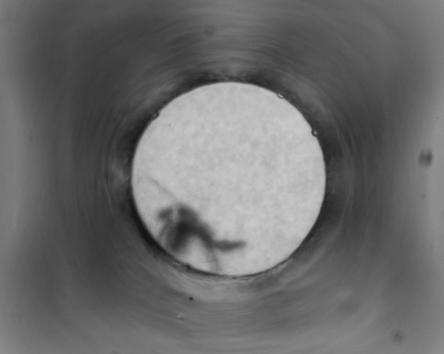 X0000101210040200807251059