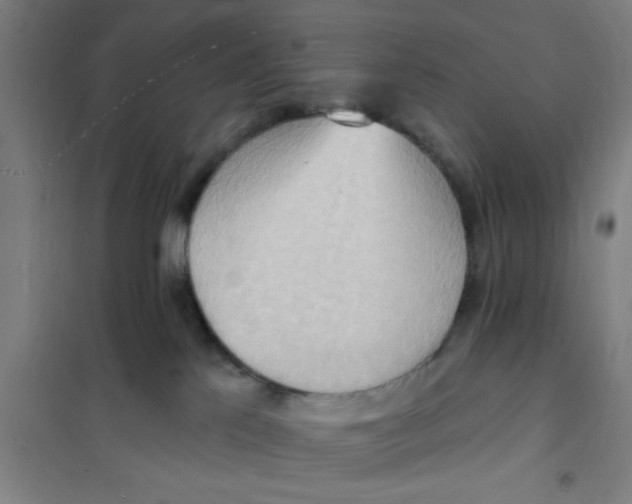 X0000101210041200807251059