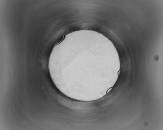 X0000101210044200807251059