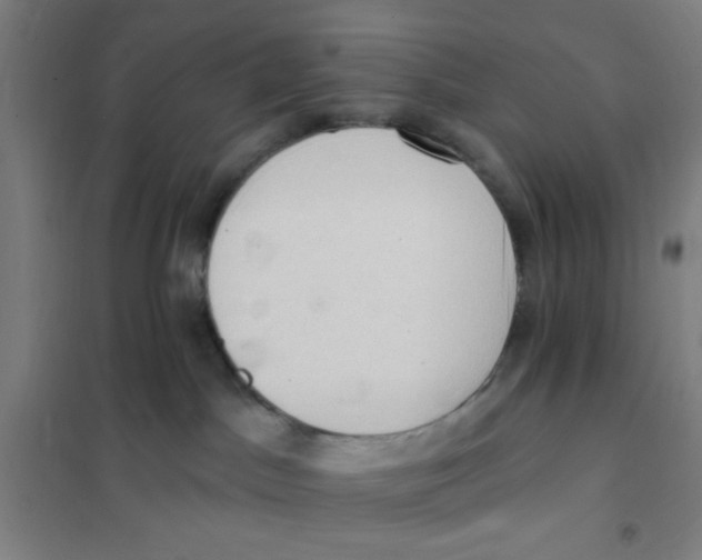 X0000101210045200807251059