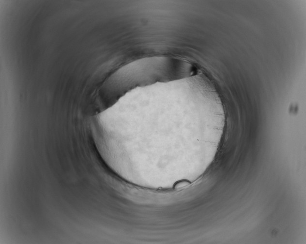 X0000101210048200807251059