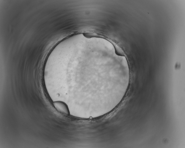 X0000101210049200807251058