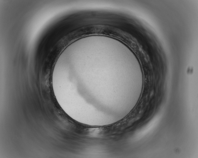 X0000101210050200807251058