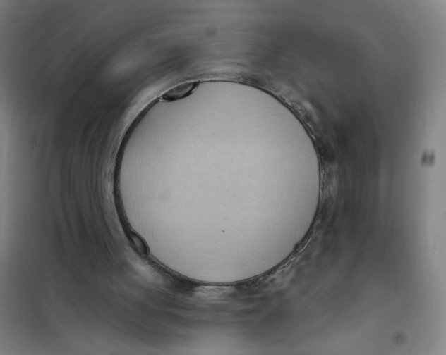 X0000101210051200807251058