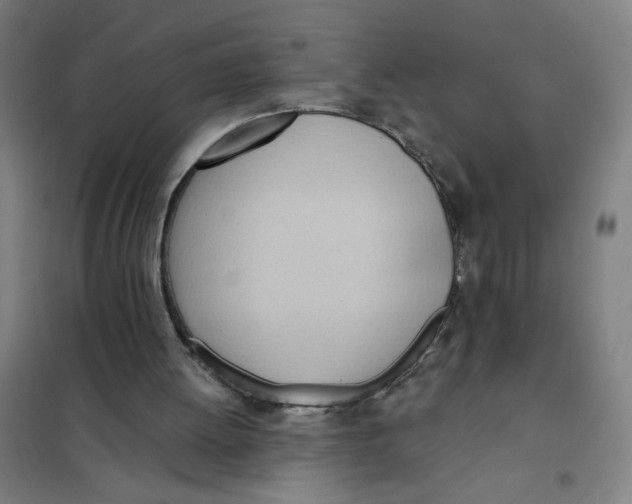 X0000101210052200807251058