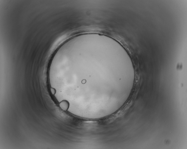 X0000101210053200807251058