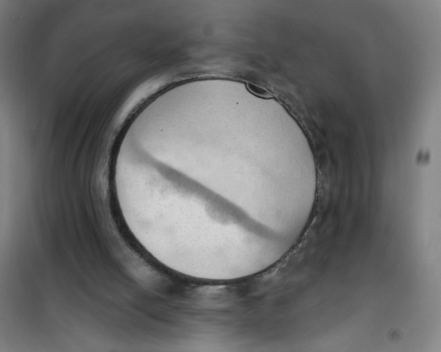 X0000101210054200807251058