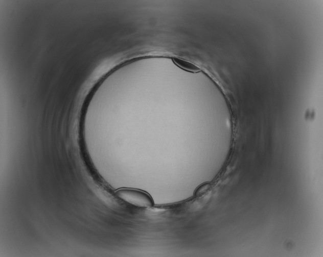 X0000101210055200807251058