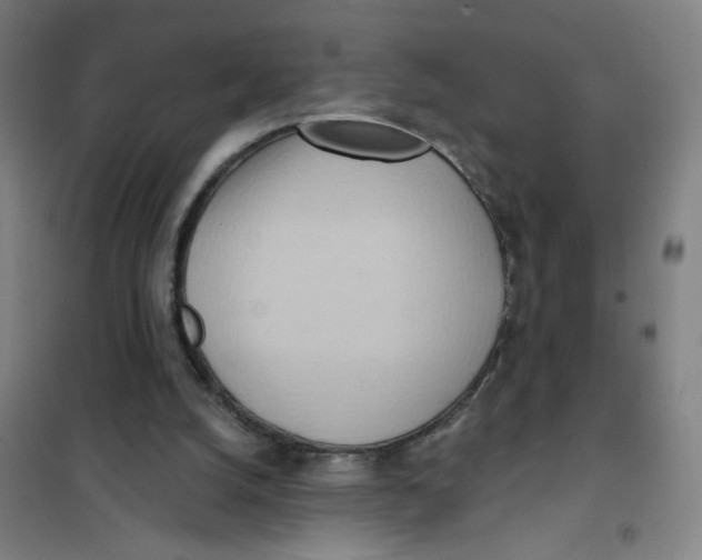 X0000101210056200807251058