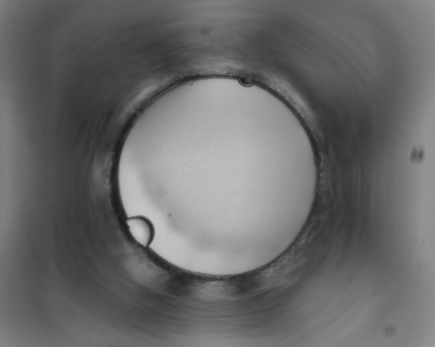 X0000101210058200807251058