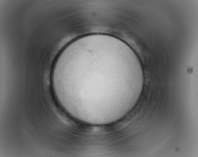 X0000101210060200807251058