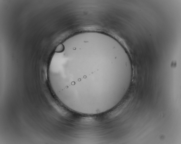 X0000101210061200807251058