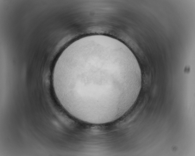 X0000101210064200807251058