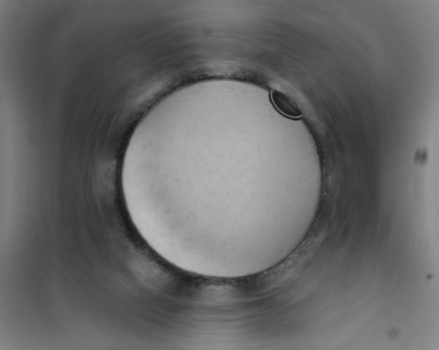 X0000101210066200807251058