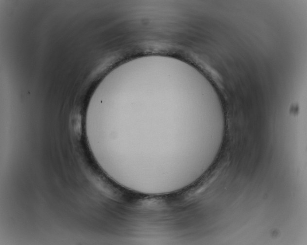 X0000101210067200807251058