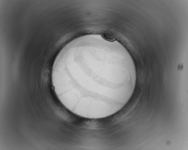 X0000101210071200807251058