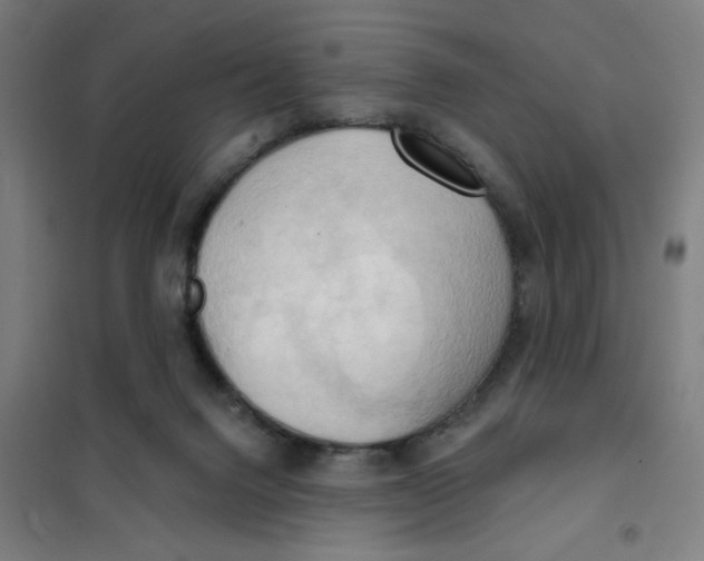 X0000101210072200807251058