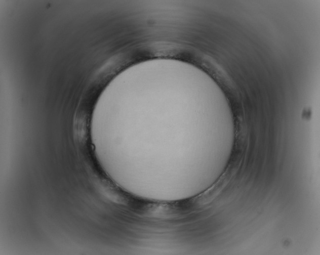 X0000101210074200807251058