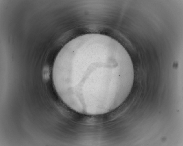 X0000101210075200807251058