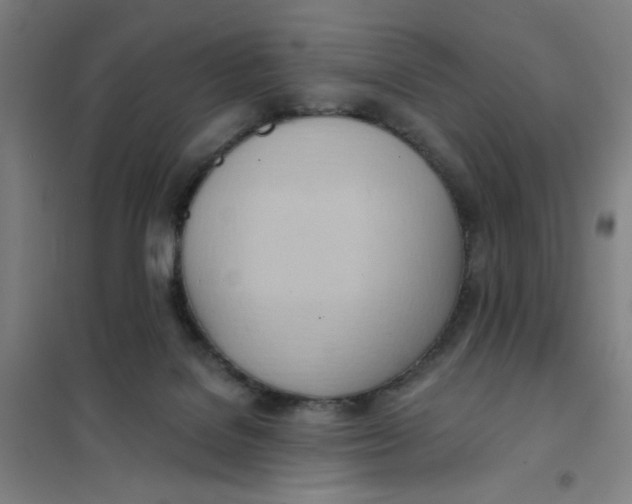 X0000101210076200807251058