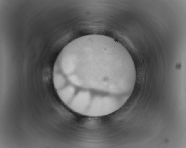 X0000101210077200807251058