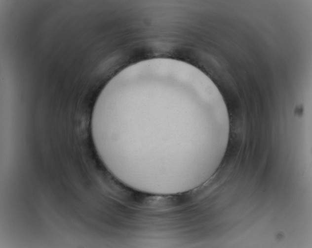 X0000101210082200807251058